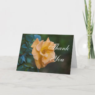 Orange Rose Vielen Dank Dankeskarte