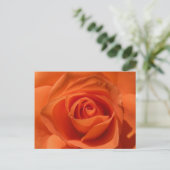 Orange Rosen-Foto-Postkarte Postkarte (Stehend Vorderseite)