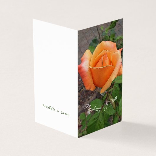 Orange Rosenknospe (Vorderseite)