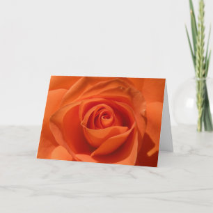Orange Rosevalentine-Karte Feiertagskarte