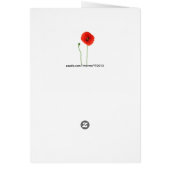 Orange Rot-Mohnblumen-einfache Schönheit (Hinten)