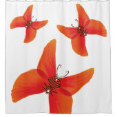 Orange Rote Mohnblüten mit drei Namen Duschvorhang (Vorderseite)