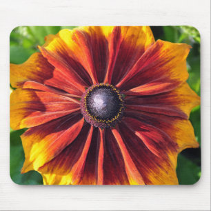 Orange rudbeckia Blume Mousepad