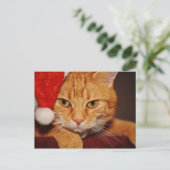Orange Santa Kitty: Frohe Weihnachten von der Katz (Stehend Vorderseite)