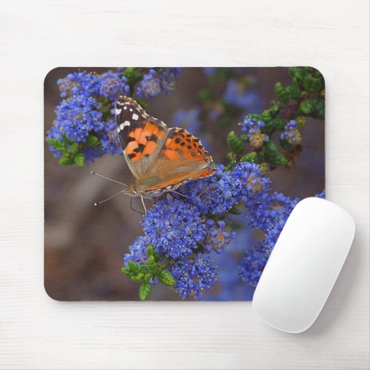 Orange Schmetterling auf blauer Blume Mousepad (Mit Mouse)