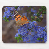 Orange Schmetterling auf blauer Blume Mousepad (Vorne)