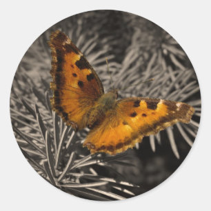 Orange Schmetterlings-Aufkleber Runder Aufkleber