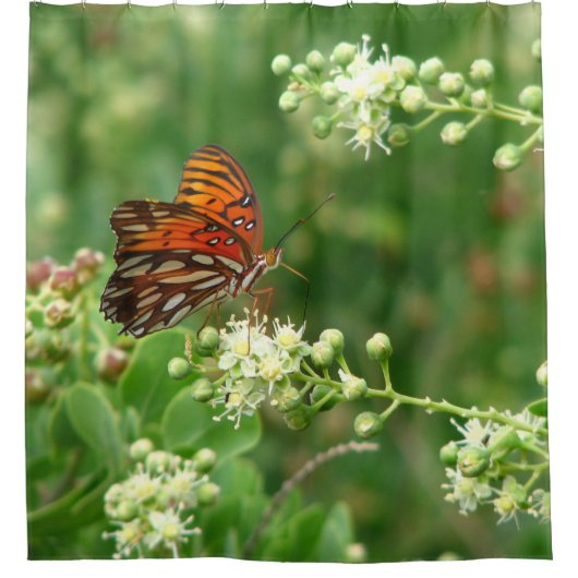 Orange Schmetterlings-Duschvorhang Duschvorhang (Vorderseite)