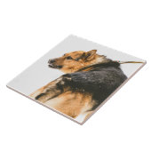 Orange schwarzer Hund Fliese (Seite)