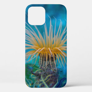 Orange Sea Anemone Aquatic Ocean Life Case-Mate iPhone Hülle
