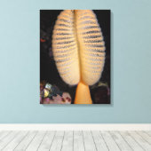 Orange Sea Pen mit Quillback Rockfish Leinwand (Insitu (Holzboden))