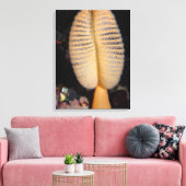 Orange Sea Pen mit Quillback Rockfish Leinwand (Insitu (Wohnzimmer))