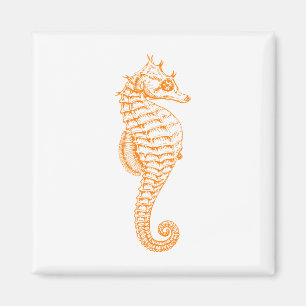 Orange Seepferd Magnet
