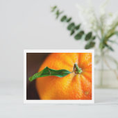 Orange Sie froh? Postkarte (Stehend Vorderseite)