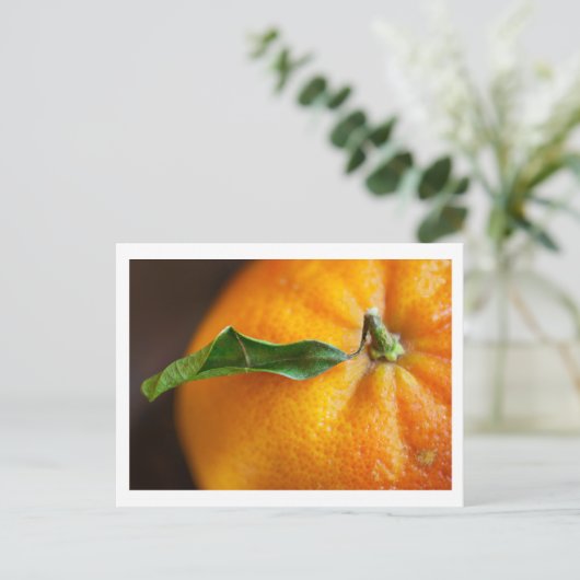 Orange Sie froh? Postkarte (Stehend Vorderseite)