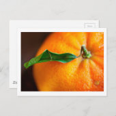 Orange Sie froh? Postkarte (Vorne/Hinten)