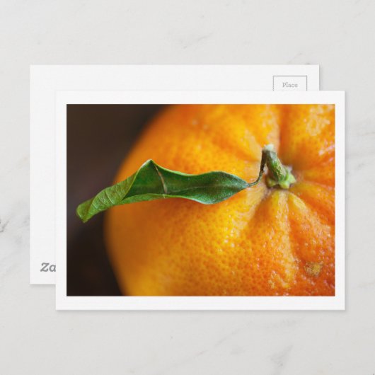 Orange Sie froh? Postkarte (Vorne/Hinten)