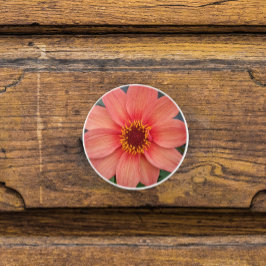 Orange Single Dahlia Floral Keramikknauf