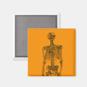 Orange Skeleton Skull Magnet (Vorderseite/Rückseite)