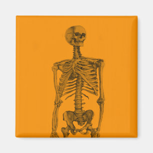 Orange Skeleton Skull Magnet
