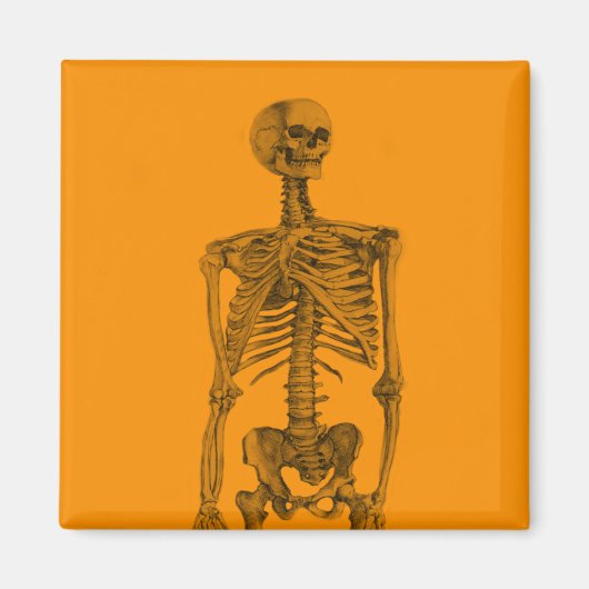 Orange Skeleton Skull Magnet (Vorne)