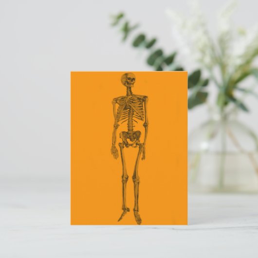 Orange Skeleton Skull Postkarte (Stehend Vorderseite)