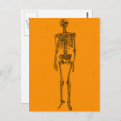 Orange Skeleton Skull Postkarte (Vorne/Hinten)