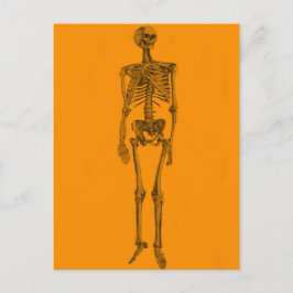 Orange Skeleton Skull Postkarte