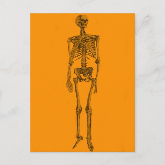 Orange Skeleton Skull Postkarte (Vorderseite)