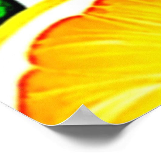Orange Slice: Citrus Art Poster (Ecke)