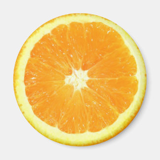 Orange Slice Magnet