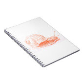 Orange Snail Zeichnend Notizblock (Rechte Seite)