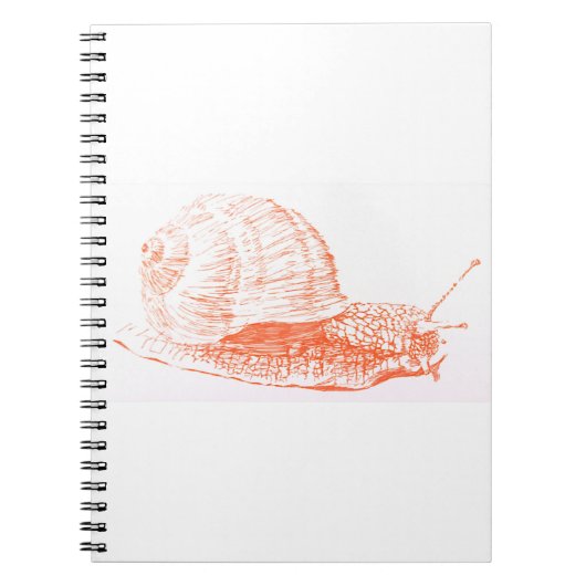 Orange Snail Zeichnend Notizblock (Vorderseite)