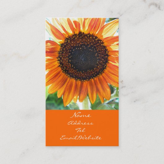 Orange Sonnenblume-Blüte Visitenkarte (Vorderseite)