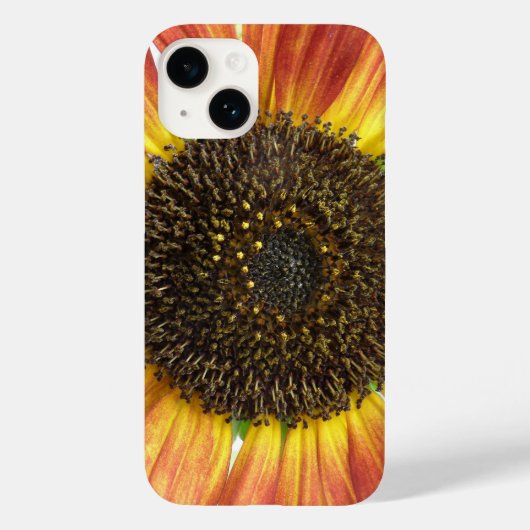 Orange Sonnenblume Case-Mate iPhone Hülle (Rückseite)