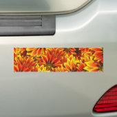 Orange Sonnenblumen Autoaufkleber (Auf Auto)