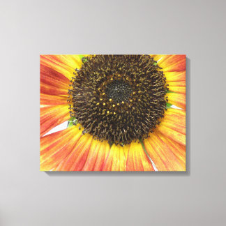 Orange Sonnenblumen Canvas Print Leinwanddruck