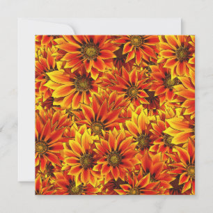 Orange Sonnenblumen Karte