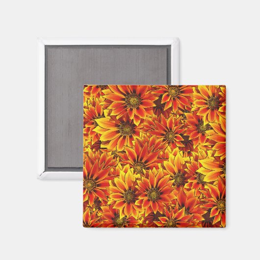 Orange Sonnenblumen Magnet (Vorderseite/Rückseite)