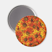 Orange Sonnenblumen Magnet (Vorderseite/Rückseite)