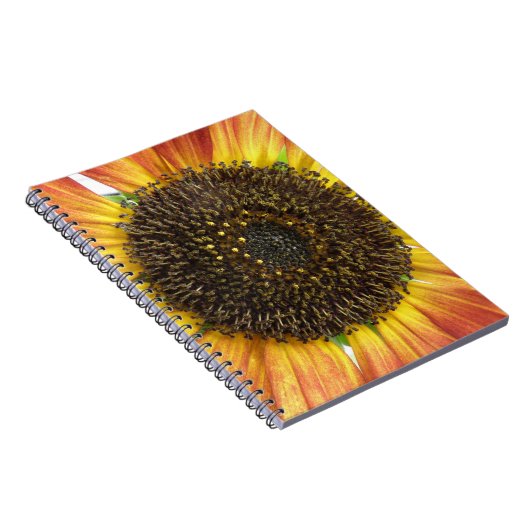 Orange-Sonnenblumen-Notebook Notizblock (Rechte Seite)