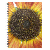 Orange-Sonnenblumen-Notebook Notizblock (Vorderseite)