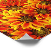 Orange Sonnenblumen Poster (Ecke)