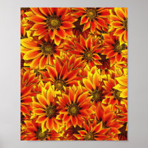 Orange Sonnenblumen