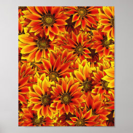 Orange Sonnenblumen Poster