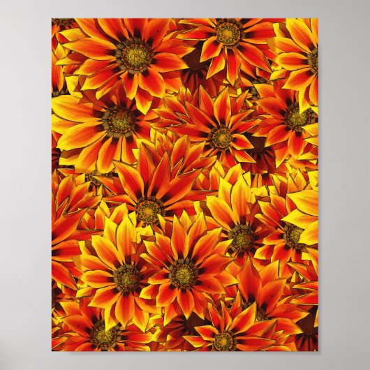 Orange Sonnenblumen Poster (Vorne)