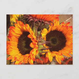 Orange Sonnenblumen Postkarte