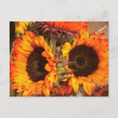 Orange Sonnenblumen Postkarte (Vorderseite)