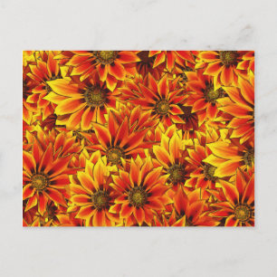 Orange Sonnenblumen Postkarte
