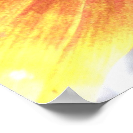 Orange Sonnenblumen Print Poster (Ecke)